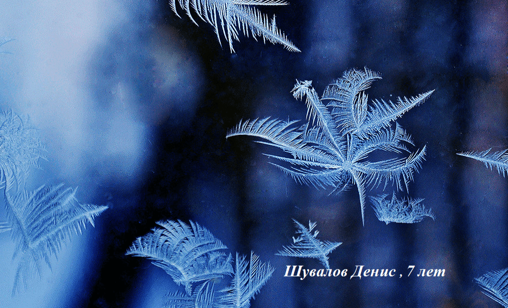 Шувалов Денис, 7 лет №2 Шувалов Денис, 7 лет №2
